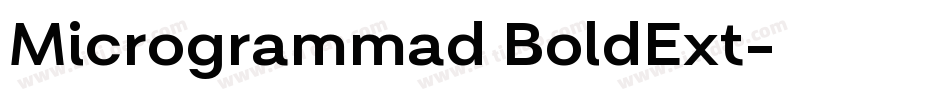Microgrammad BoldExt字体转换